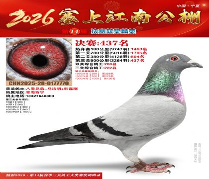 ���Ͻ��Ͼ���437��