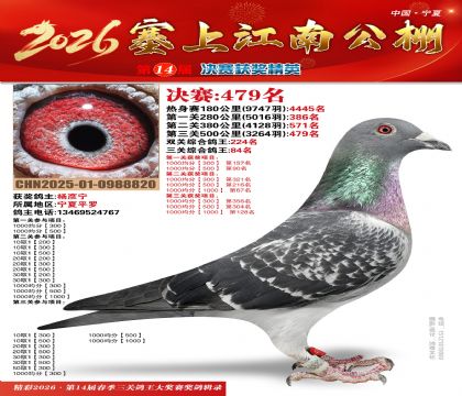 ���Ͻ��Ͼ���479��