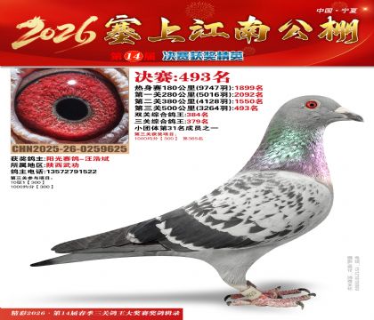 ���Ͻ��Ͼ���493��