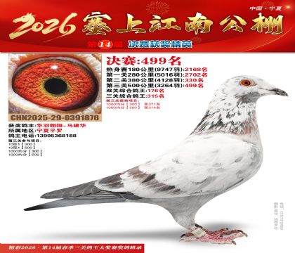 ���Ͻ��Ͼ���499��