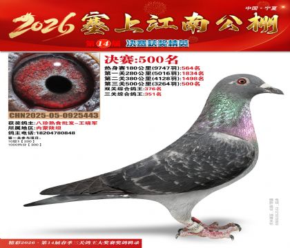 ���Ͻ��Ͼ���500��