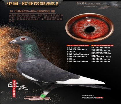 ��˹ɣ��ʿ��ɫ�쳵797X539