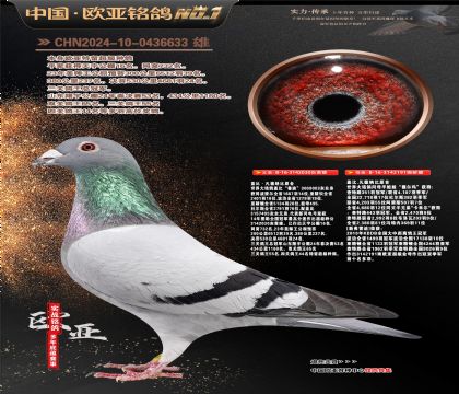 �Ǳ�ԭ��³��ֱ��030X��ޱ���ꡱ�¸��׵�191