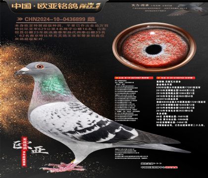 �Ƕ���˹����ԭ��987X��˹��ԭ��760