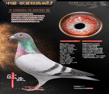 ղɭԭ�ᡰ�����š�131XֱŮ653