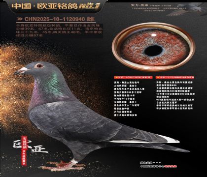 ��˹ɣ��ʿ��ɫ�쳵797X539