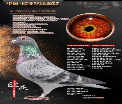 ղɭ251ֱ��326X766ֱŮ848