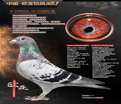 ղɭ�������555Xղɭ914ֱ��Ů625