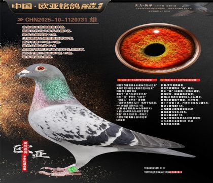 ����ԭʼ03����073X��ֱ��Ů063