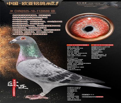 ղɭ�������Ĺڸ�������124X919ֱŮ080