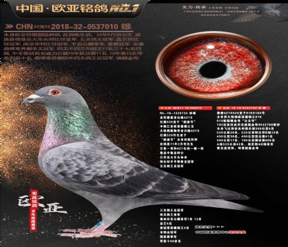 ղɭ427ֱ������919XֱŮ760��ĸ����