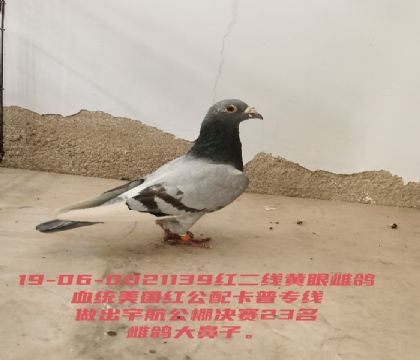 �������23��ĸ�������칫�俨��ר��