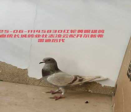 ���Ǹ�ҵ׳־�����俪���·��׵�