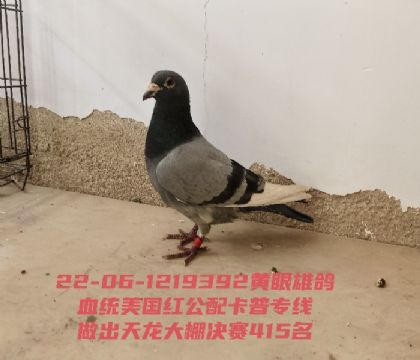 �����칫�俨��ר��