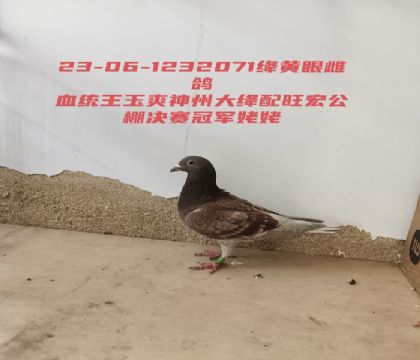 ����ˬ���ݴ�������깫������ھ�����