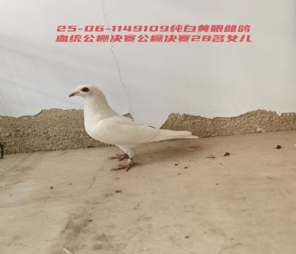 ���״�ĸ�׹������28��