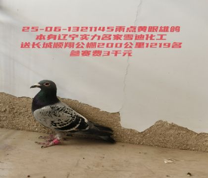 ѩ�ϻ����ͳ���˳�蹫��