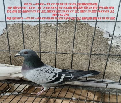 ���ǹ����İٹ���15�俪������436��Ů