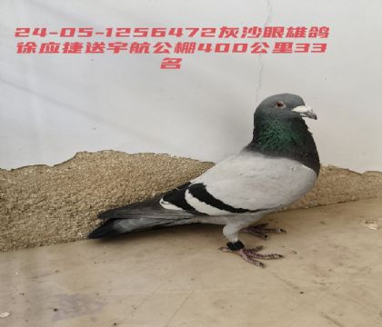 ��Ӧ��������İٹ���33��