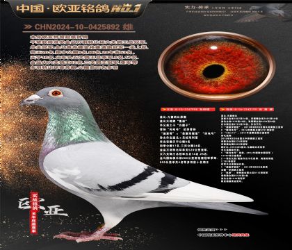 �Ǳ�.�����ɱ�ԭ��998X199