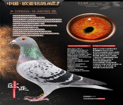 ղɭ251ֱ��326X766ֱŮ848