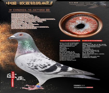 ����851ֱ��622�ھ�X����851X818ֱŮ697