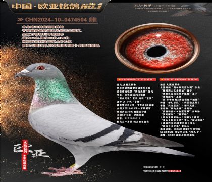 �Ͽ�.������ԭ��111X611����ƥ�����˹