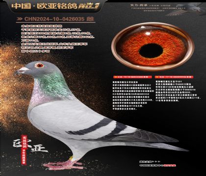 ���Ҽ������������358X501ֱŮ999