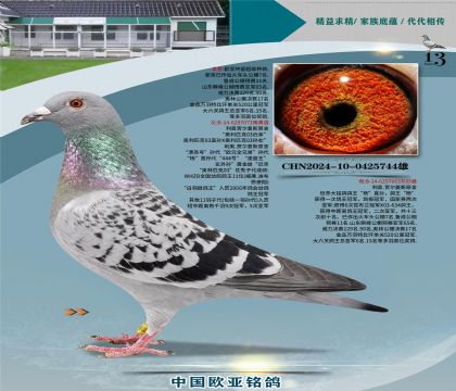 ����ԭʼ03����073X��ֱ��Ů063