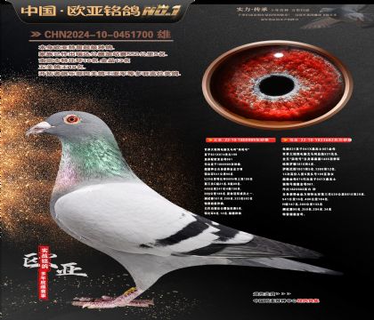 ����Xɣ��ʿֱ��989Xɣ��ʿ682��ĸ