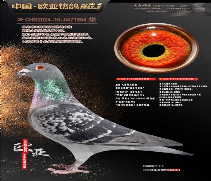 �Ǳ�ԭ�������ֱ��190X�ʼһ�ֱŮ359