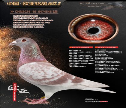 �Ͽ˷��ǲ���ԭ���漣��362X40000��435