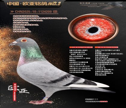 ����Xɣ��ʿ116X����926ֱŮ457