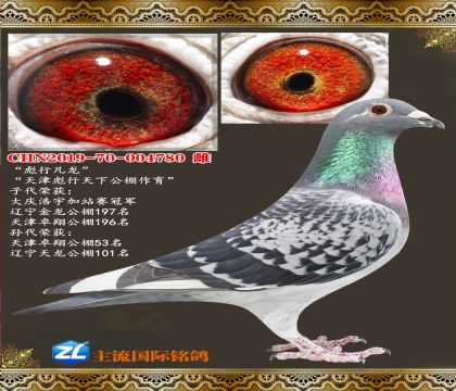 ���������¹�������