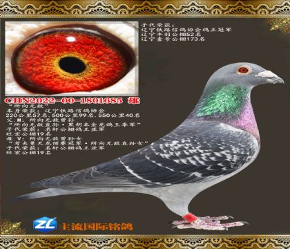 �����޵н���.550����40��