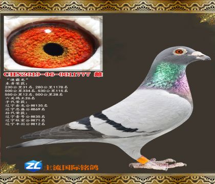 �ٰ���.���ظ���