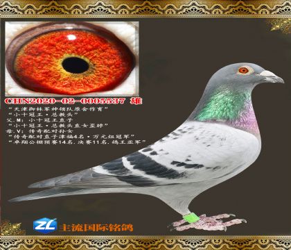 ������־�ԭ������