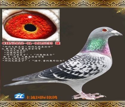 �����޵�ֱ�ֱ��Ů