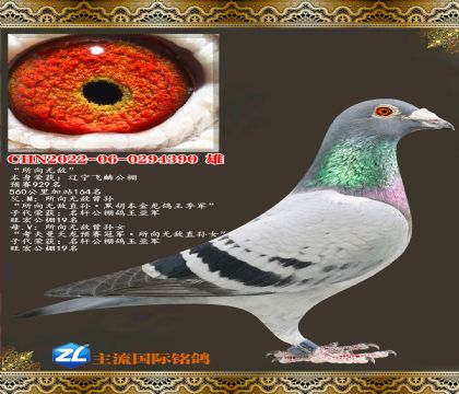 �����޵н���