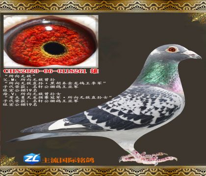 �����޵н���