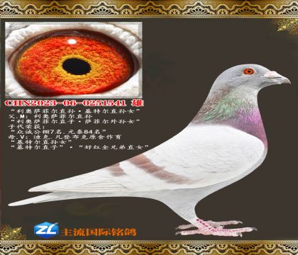 ���ƶ�ֱ����ض���Ů