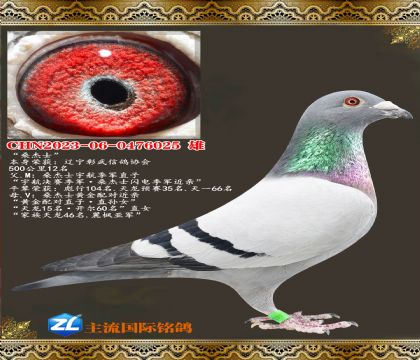 ɣ��ʿ.500����12��