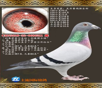 �������ƶ�ֱ����²�����