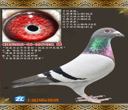 �ֲ�����ţ������ֲ����Ĺعھ�