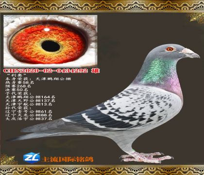 ����.������蹫��50��