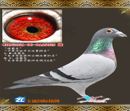 �ٰ���.����29��ƽ��