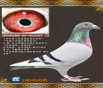 ������ɽ������������.���������ֱŮ