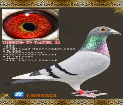 �ٰ���.�������ظ����Ǿ�ƽ��