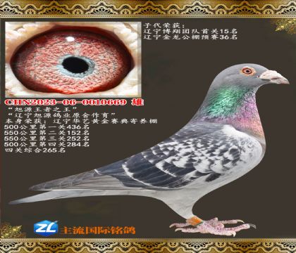 ������Դ��ҵԭ����������֮��