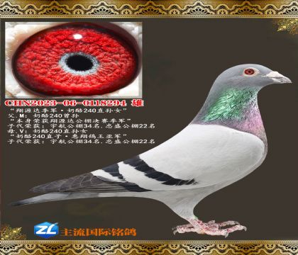 ��Դ�＾��������240��Ů